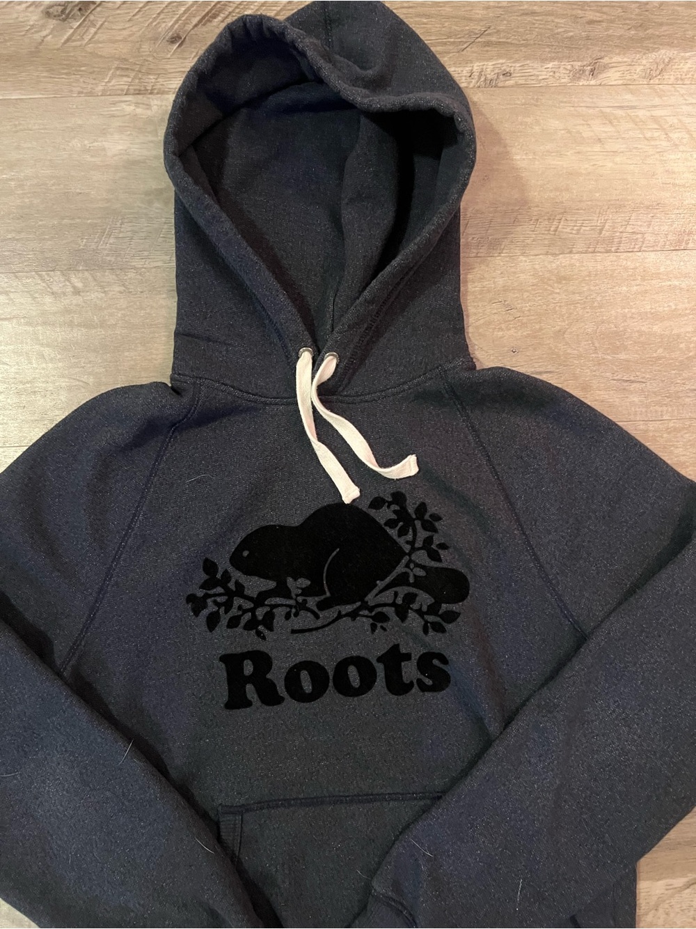 Roots Canada Classic Beaver Logo Pullover Hoodie – Men's/Unisex Extra Small